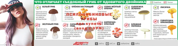 ПСИЛОЦИБИНОВЫЕ ГРИБЫ Абинск